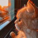 七七的小猫咪的头像-由甫网