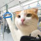 哈哈哈的头像-由甫网