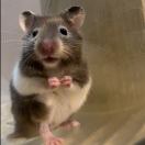 eeeeeee的头像-由甫网